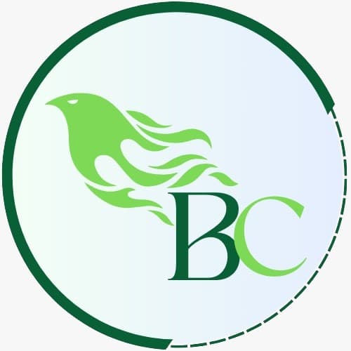 Carga BuenoCambios